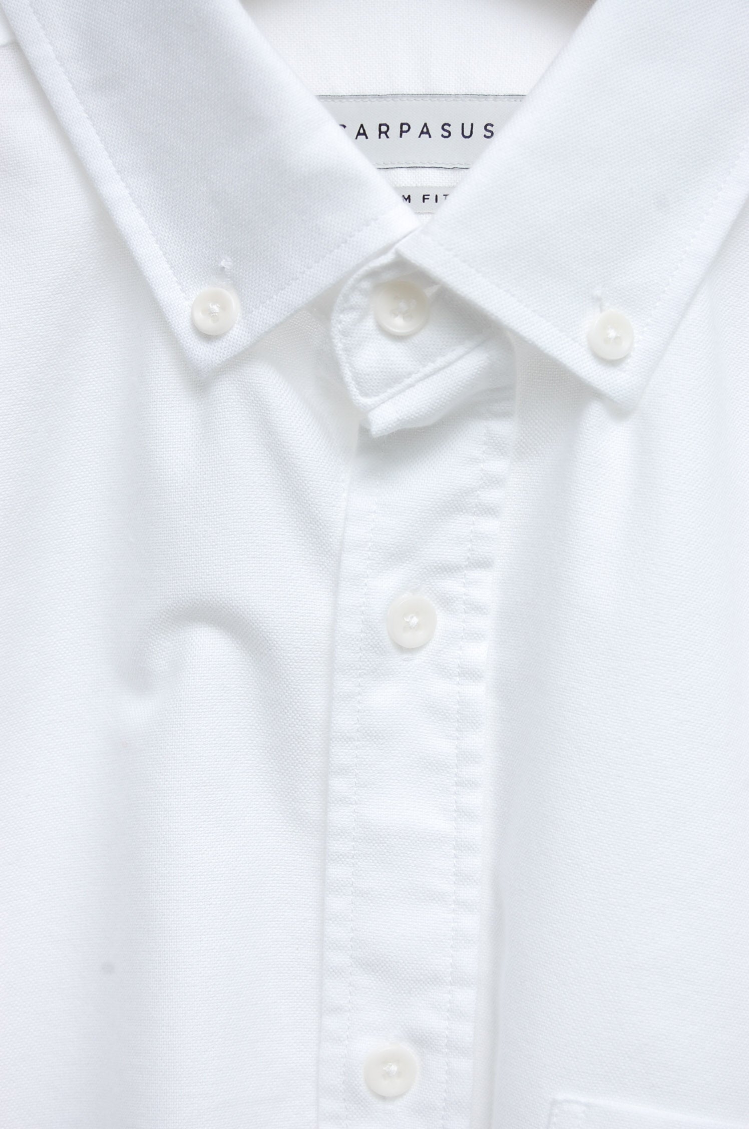 Carpasus Oxford white